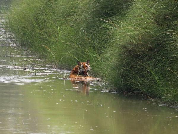 Nepal dolphin watching vacation