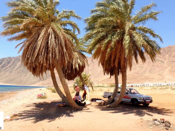 Advanced diving holidays in Dahab