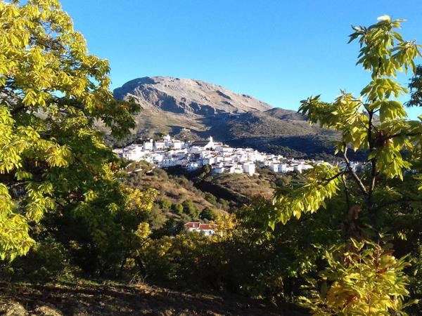 Centre based walking vacation in Andalucia, Spain