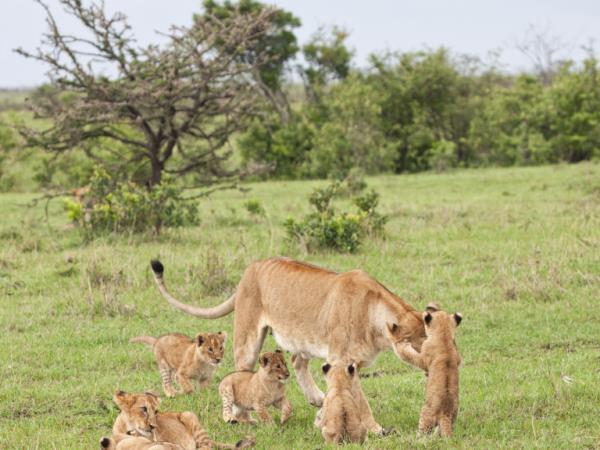9 day safari in Kenya