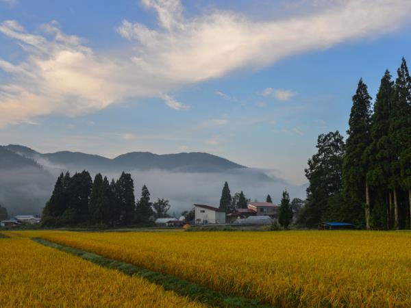Rural Japan 8 day tour