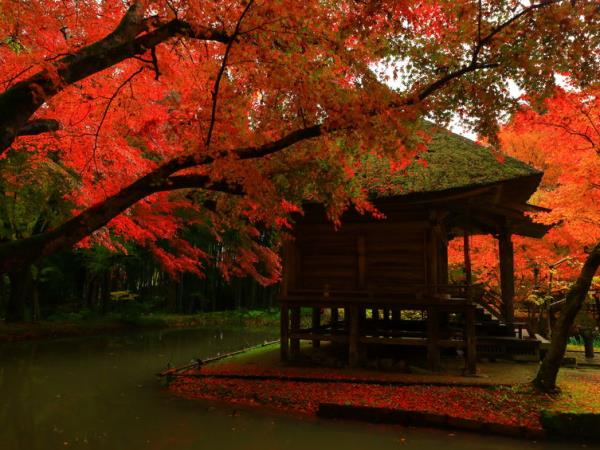 Rural Japan 8 day tour