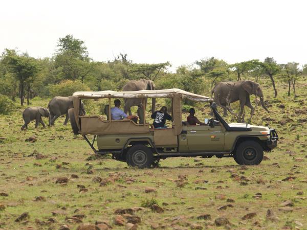 Kenya migration safari vacation