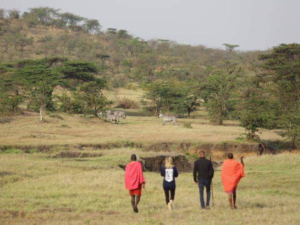 Kenya migration safari vacation