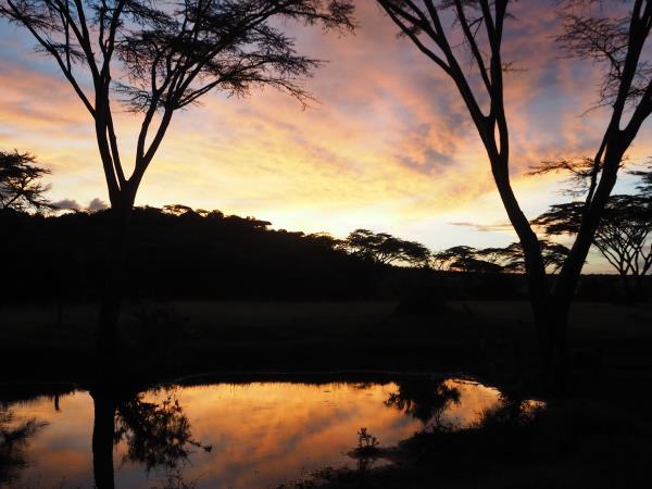 Kenya migration safari vacation