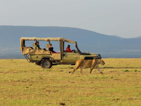 Kenya safaris, Masai Mara