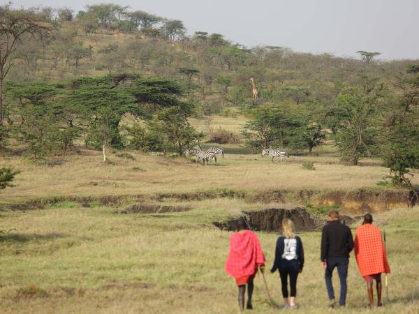 Kenya safaris, Masai Mara