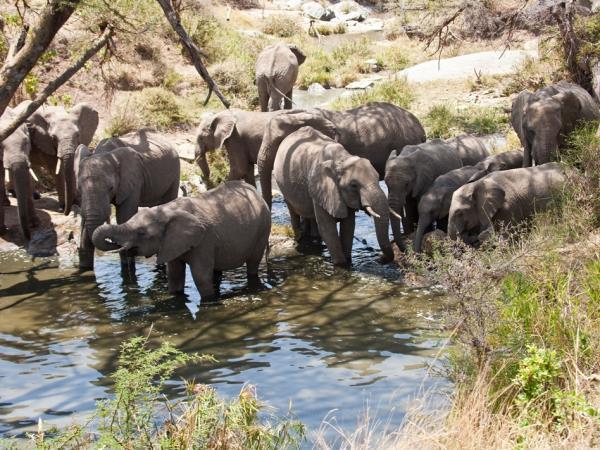 Family luxury camping safari in Kenya