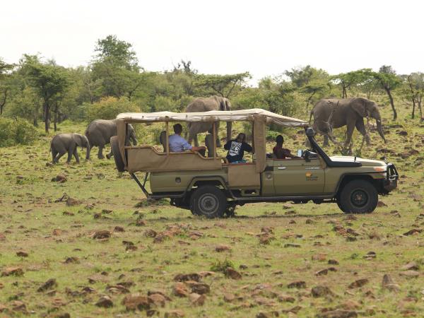 Masai Mara luxury camp vacation, Kenya