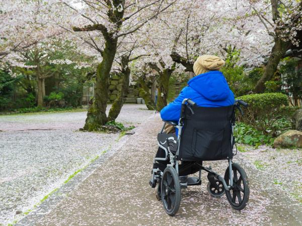 Wheelchair accessible vacation in Japan