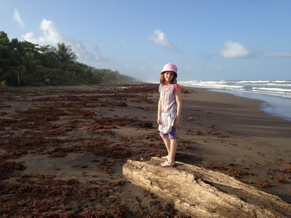 Costa Rica family tour, 11 days