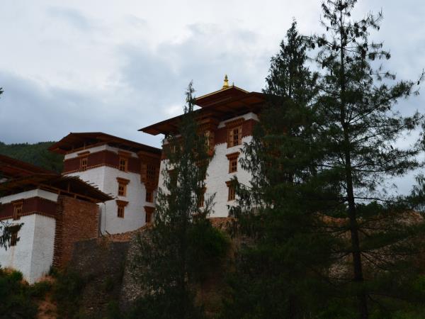 Bhutan cultural tour