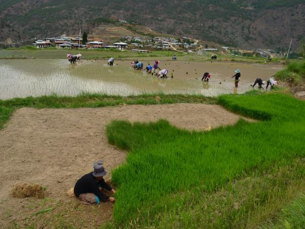 Bhutan cultural tour