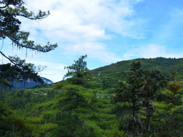 Dagala Thousand Lakes trekking vacation, Bhutan