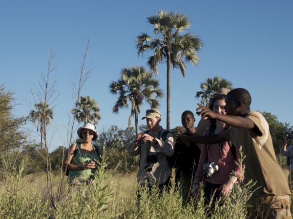 Cape Town to Victoria Falls small group camping safari