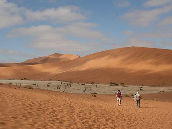 Namibia walking safari, self drive