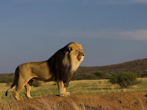 Namibia walking safari, self drive