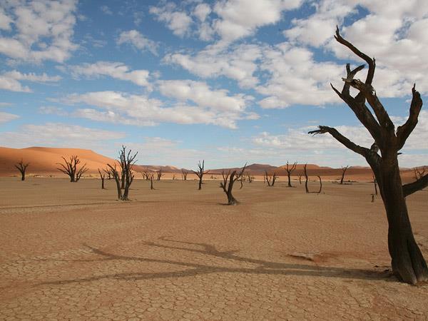 Namibia walking safari, self drive