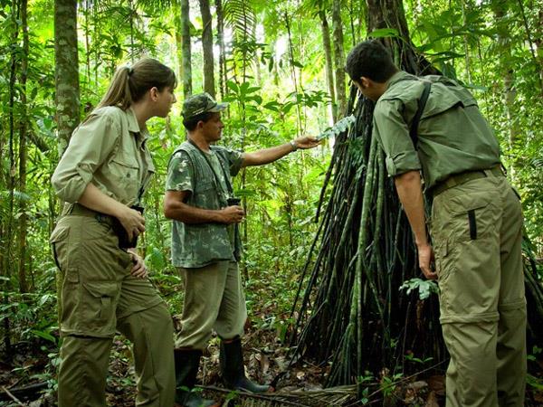 Brazil 10 day tour, Pantanal & Amazon