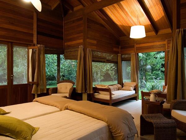 Brazil 10 day tour, Pantanal & Amazon