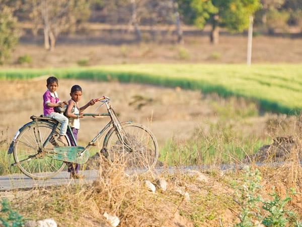 North India wildlife vacation