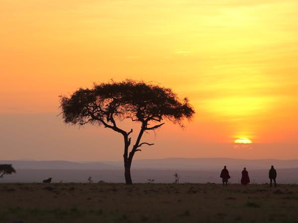 9 day safari in Kenya