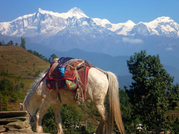 Nepal on a shoestring tour