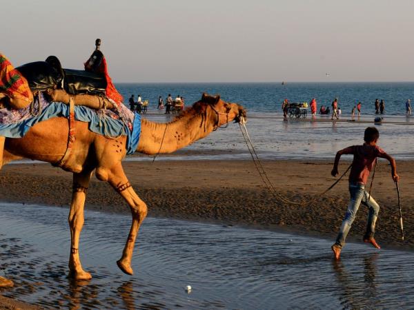 Gujarat vacation and the Rann of Kutch, India