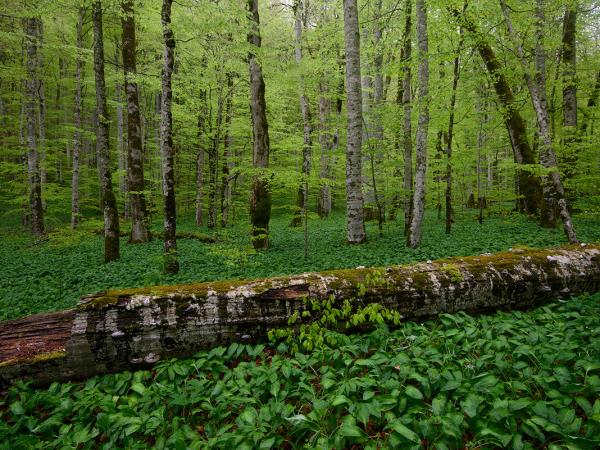 Montenegro photography vacation