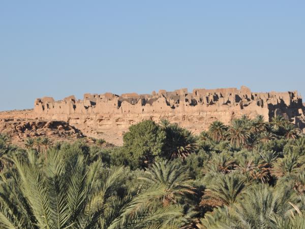 Morocco camel trekking vacation