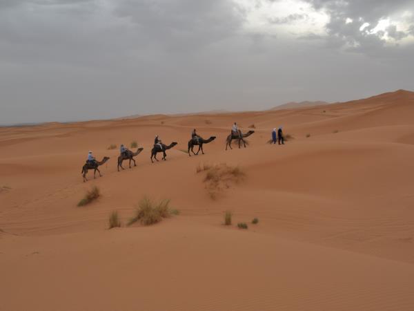 Morocco camel trekking vacation