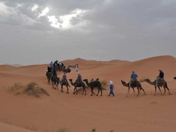Morocco camel trekking vacation