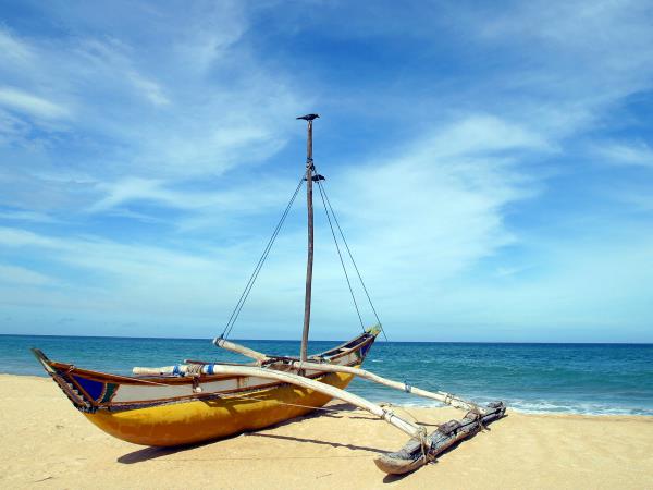 Sri Lanka wildlife watching tour