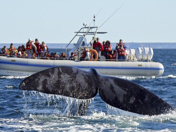 Argentina adventure vacation, tailor made