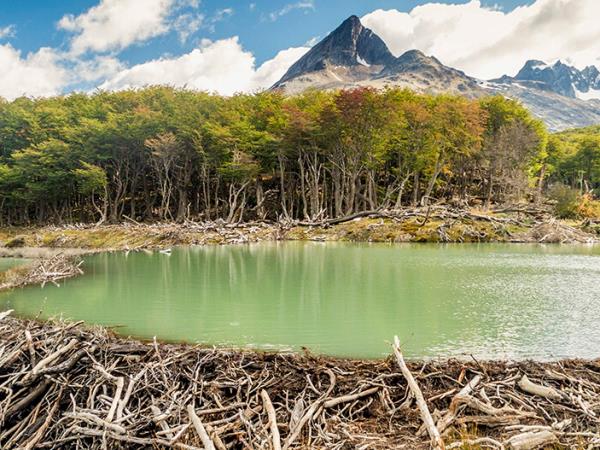 Tailor made vacation in Argentina, best of Argentina