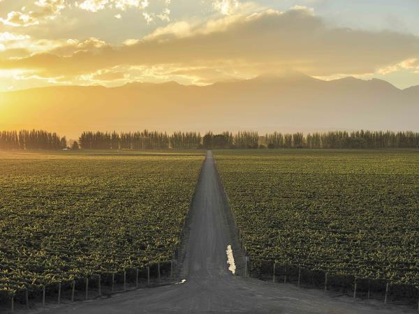 Tailor made vacation in Argentina, best of Argentina