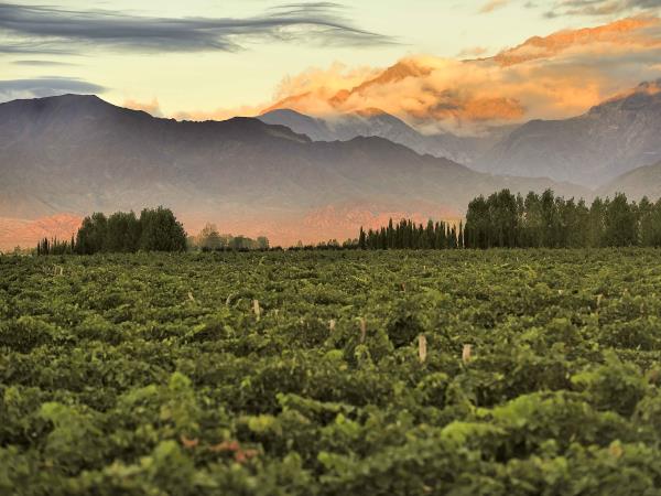 Argentina vacation, cities and national parks