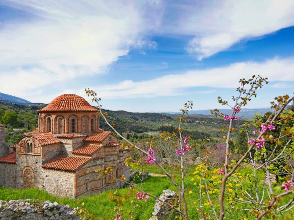 Wine and olive oil tour in Greece