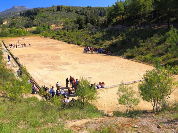 Wine and olive oil tour in Greece