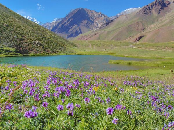 Tailor made vacation to Northern Argentina