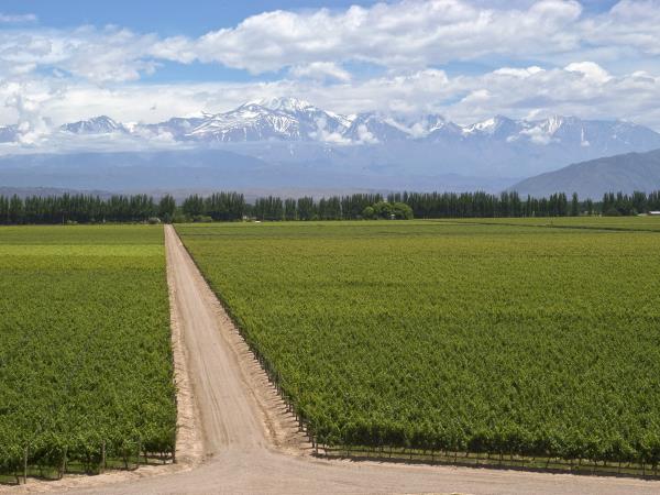 Tailor made vacation to Northern Argentina