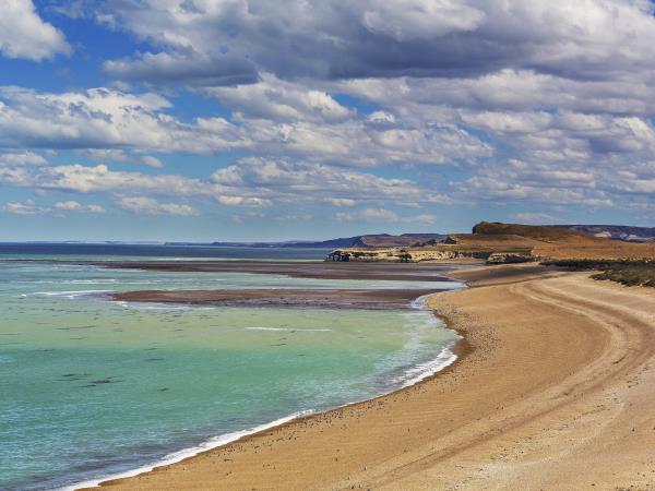 Peninsula Valdes whale watching tour in Argentina