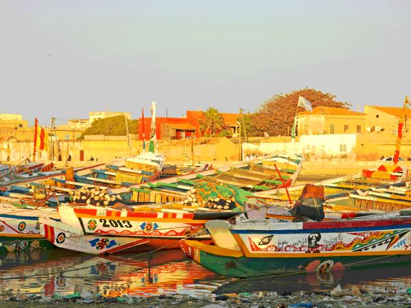 Senegal tour, Senagal uncovered