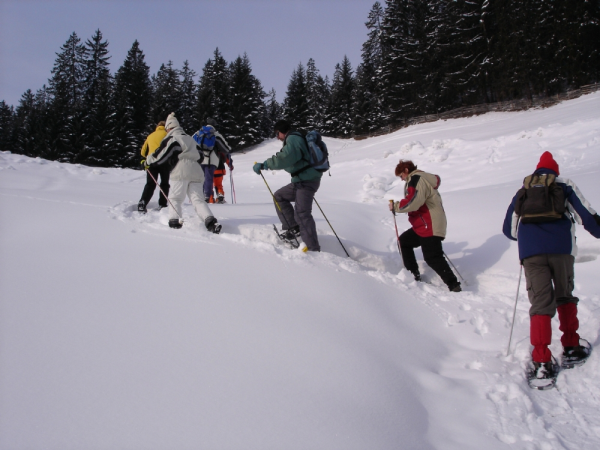 Snowshoeing in the Austrian Alps vacation