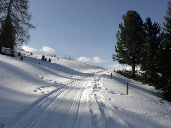 Snowshoeing in the Austrian Alps vacation