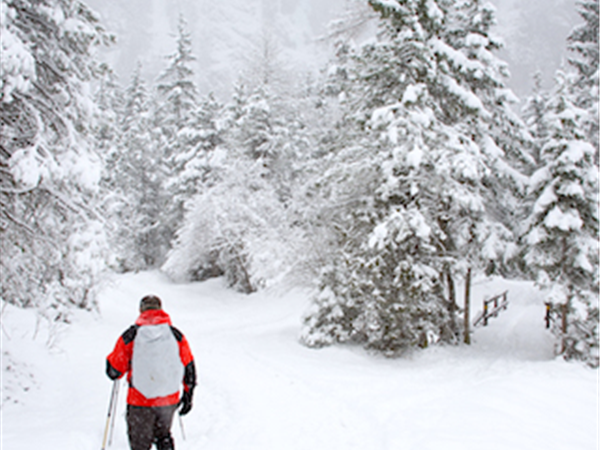 Kandersteg winter hiking vacation in Switzerland