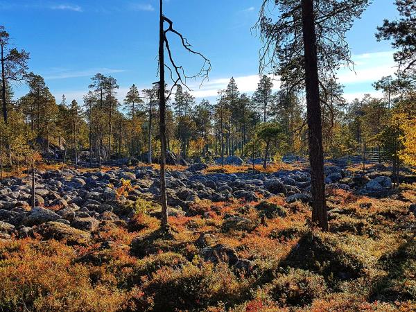 Autumn Northern Lights vacation in Finland