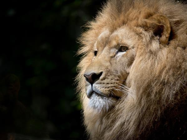 Family conservation project in South Africa