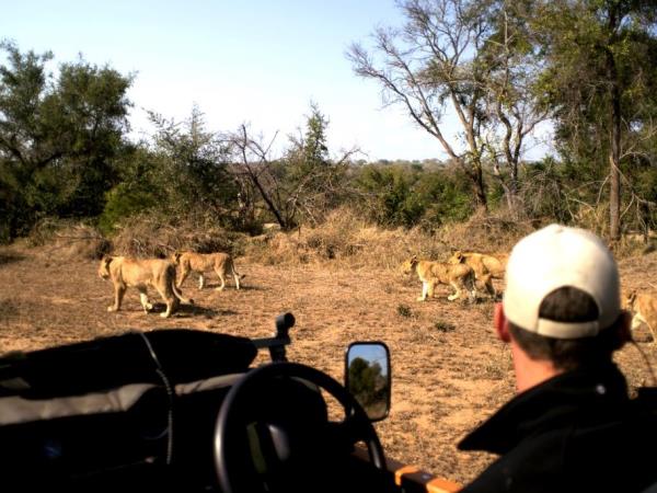 Family conservation project in South Africa
