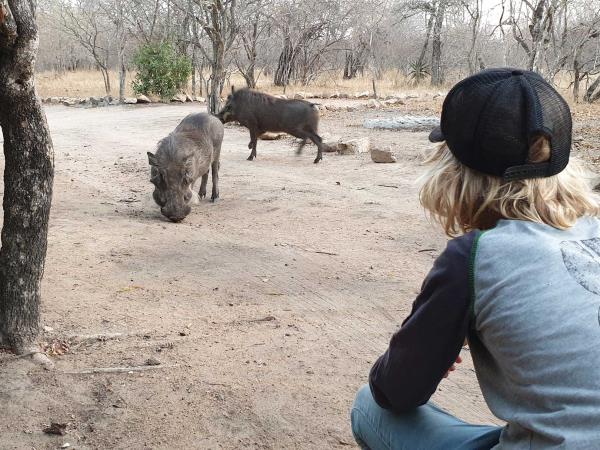Family conservation project in South Africa